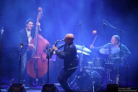 /album/i-miei-figli-musicisti-massimo-e-daniele1/a296357-486848988006117-53991197-n-jpg/